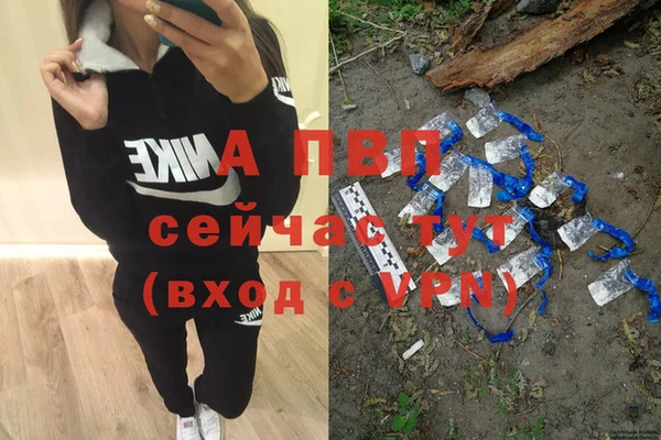 СК Беломорск