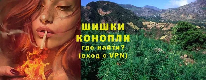 Бошки марихуана THC 21%  Вяземский 